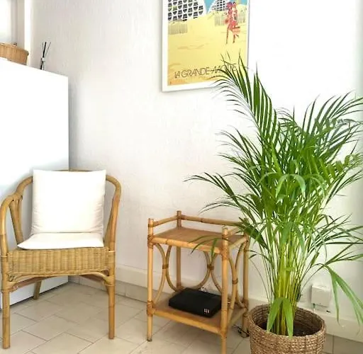 The Palm 100m De La Parking Clim Wifi *